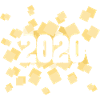 2020