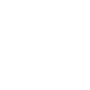 Fleischer