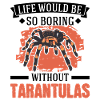 Tarantula Gift Spider Tarantula