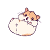 Hamster Kuscheltier Haustiere Heimtier Statement