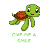 Turtle Love