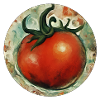 Tomato / Vegetable / Vegetable