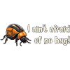 Bugbuster - Bug Fixer - Programmer