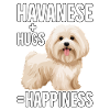 Havanese Hugs Happiness