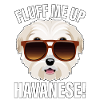 Fluff me up Havanese