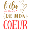 L'élu de mon cœur