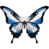 Scotland Swallowtail Butterfly Flag