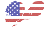 Lacrosse Flag