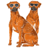 Sunglasses Dogs Gift Rhodesian Ridgeback