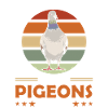 Gift from the pigeon owner