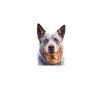 Australian Cattle Dog