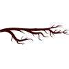 branch