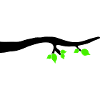 ast 1