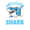 Shark attack