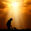 Feldarbeit bei Sonnenuntergang