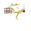 Toad ally cool