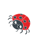 Wait i see a bug