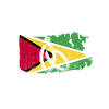 Guyana Flag Guyanese Guyana