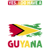 Guyana Flag Guyanais Guyanais
