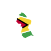 Guyana Flag Guyanese Guyana