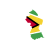 Guyana Flag Guyanese Guyana
