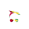 Guyana Flag Guyanais Guyanais