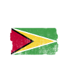 Guyana Flag Guyanese Guyana