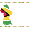 Guyana Flag Guyanese Guyana