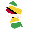 Guyana Flag Guyanese Guyana