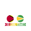Guyana Flag Guyanese Guyana