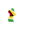 Guyana Flag Guyanais Guyanais
