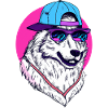 Cool Wolf