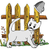 Katze