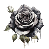Rose à l’aquarelle