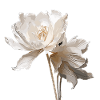 Tulip with washed-out design