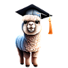 Graduate Bachelor Alpakka skole