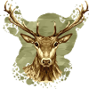 Hirsch