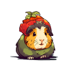 Guinea pig