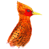 Hand-painted fire-red bird
