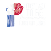 Fierté panaméricaine Drapeau panaméricain