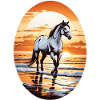 Cheval sur la plage
