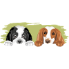 Saint Bernard et Cocker Spaniel sont les meilleurs amis
