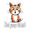 Not your Ernst