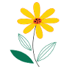 Yellow flower