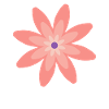 Pink flower