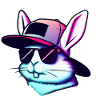 Cool Bunny