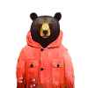 Bärentierkunst #bear