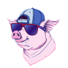 Cool pig