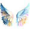 Ailes d'Ange Pastel Angelwings