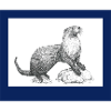 230919 Otter6